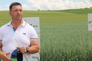 Ziua Grâului 2019. Joker, oferta nr. 1 de la Saaten Union