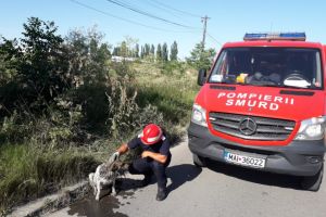 Pompierii ISU Dobrogea chemati sa intervina in zona Industriala a municipiului Constanta (galerie foto)