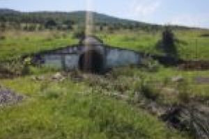 La Moldova Nouă se interzic câinii de colţ de bloc! Abandonul în mijlocul drumului pune Poliţia în acţiune!