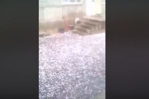 Grindină de mari dimensiuni la Spermezeu (VIDEO)