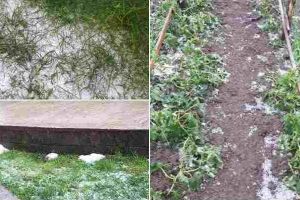 FOTO-VIDEO| Natura s-a dezlănţuit din nou în Alba: Ploaie torenţială la Galda şi grindină la Tăuţi