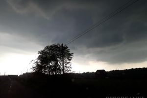 COD PORTOCALIU de ploi, vânt şi descărcări electrice în două localităţi din Bihor