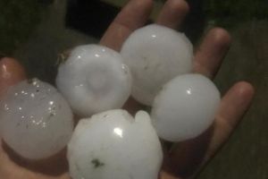 Prăpăd în Chişlaz! Furtuna puternică şi gheaţa de mari dimensiuni au deteriorat copaci şi acoperişuri (FOTO / VIDEO)