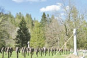 Jandarmeria i-a amendat pe liderii maghiarilor pentru scandalul de la Valea Uzului