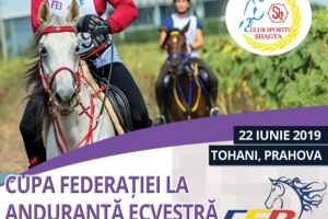 Ce faci sambata? Hai la Tohani, la Cupa Shagya