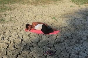 Catstrofă. 49 de persoane au murit deja din cauza căldurii