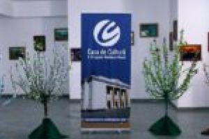 Ziua Dunării, sărbătorită prin pictură, la Moldova Nouă