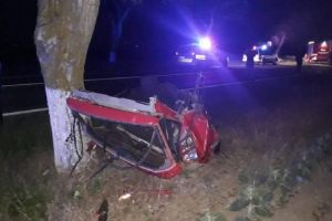 Accident groaznic, în Tulcea: Trei tineri au murit din cauza vitezei excesive (FOTO)