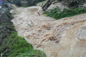 Drumuri blocate în Bihor, din cauza furtunilor. Judeţul, din nou sub cod galben de vreme rea
