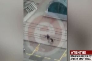 Scene şocante filmate în Piteşti: femeie bătută, târătă pe stradă şi aruncată într-un coş de gunoi