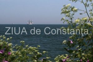 centrulnatura.ro: Sarbatorim viata   