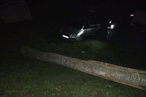 FOTO Turişti la un pas de tragedie pe Valea Moaşei – Din cauza unui hoţ de lemne