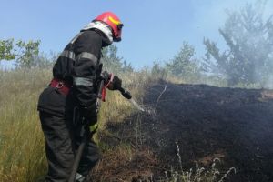 Autoturism, ce se deplasa intre Isaccea si Niculitel din judetul Tulcea, a luat foc. Incendiul s-a extins la vegetatia uscata (video)      