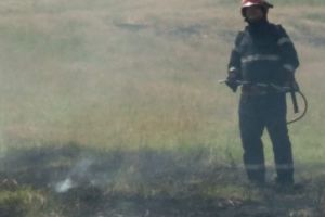 Arde la iesire din municipiul Tulcea: Incendiu de vegetatie uscata pe o suprafata de 10 hectare (galerie foto) 