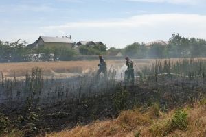   Alerta la pompierii constanteni: Incendiu pe o strada din Valu lui Traian (galerie foto)