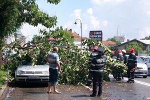 Furtună la Târgovişte: copaci rupţi, acoperişuri luate de vânt  – FOTO şi VIDEO