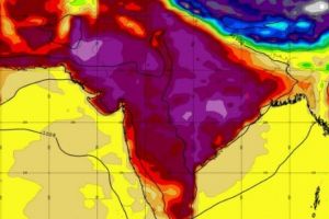 CANICULA face primele victime. 78 de persoane au MURIT. Breaking News