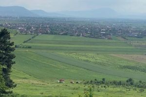 Parapantist căzut pe Dealul Lempeş