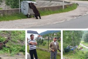 O zi printre URŞII din Argeş. Pentru turişti – ATRACŢIE, pentru localnici – TEROARE!