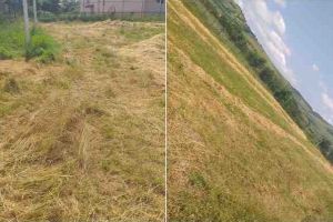 FOTO ȘTIREA TA| Terenul de sport dintr-o comună din Alba, plin de bălării şi buruieni: “Îl tunde doar când se face nutreţ pentru animale”