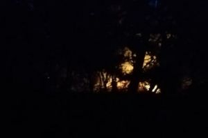 FOTO Cabană părăsită în flăcări la Cisnădie