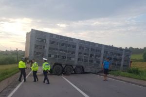 DN13 este blocat maţi dimineaţă