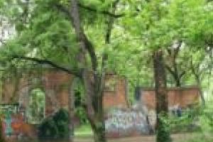 Aproape 4 milioane de lei pentru iluminatul public în Parcul Botanic!