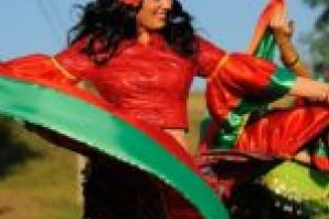 Limba şi Literatura Rromani, în şcolile din Clisura Dunării!