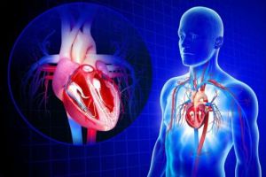 Factorii de risc cardiovascular – care sunt inamicii inimii?