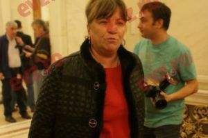 Exclusiv EvZ! Norica Nicolai propune modificarea Constituţiei. Lidera ALDE urmăreşte un scop inedit