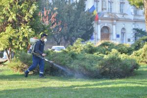 FOTO- Campanie de dezinsecţie, deparazitare, deratizare şi dezinfecţie, la Braşov