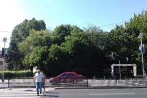 Panouri fotovoltaice amplasate la treceri de pietoni din municipiul Constanta (galerie foto)