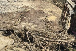 Descoperire macabră la Nuşeni. Ce a găsit un bărbat în curtea casei din care s-au retras apele (FOTO)