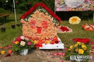 29 iunie: ”Ziua Rozelor” 2019, la Ciumbrud. PROGRAMUL complet