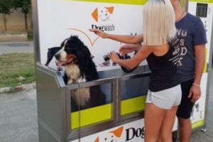 A apărut aparatul automat de spălat căţeii