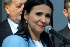 Sorina Pintea sustine infiintarea unei asociatii a spitalelor