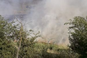 Incendii simultane in Tulcea. Pompierii actioneaza in locurile cu probleme