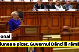 Naţional: Moţiunea a picat, Guvernul Dăncilă rămâne