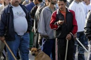 Rromi relocaţi cu forţa!  Circa 900 de romi au fost forţaţi să-şi părăsească locuinţele dîn urma unui conflict generalizat cu locuitorii din satul în care locuiau