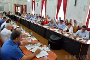 Majoritate neputincioasă: Puterea din Consiliul Judeţean Bihor nu poate pune în aplicare proiectul pentru modernizarea scenei Teatrului