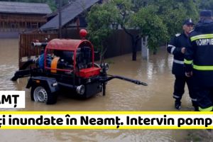 NEAMȚ: Curţi inundate în Piatra-Neamţ şi comuna Alexandru cel Bun