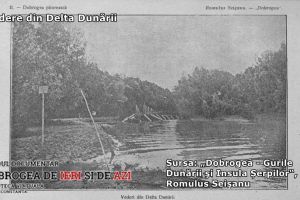 O vanatoare regala in Delta Dunarii si criza dinastica din Romania