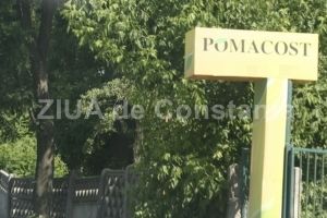 Pomacost, firma de casa a fostului primar Mazare, vrea sa-si schimbe numele. Decizia, luata de actionari in luna aprilie