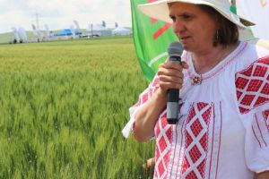 Ziua Grâului 2019. Soiurile roşii de la Turda