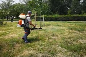 Actiuni de dezinsectie in parcurile, promenadele, scuarurile si cartierele din Constanta