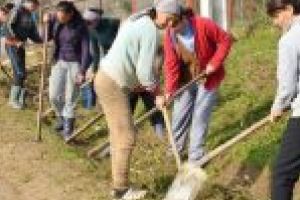 Din ce in ce mai putini asistati / pomanagii sociali in Braila