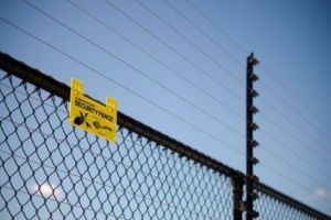 Prima SOLUŢIE pentru limitarea urşilor: garduri electrice!