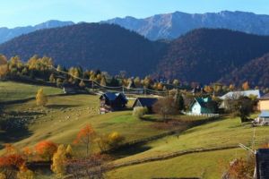 Evadare din cotidian, la doi pasi de Ploiesti. Locul cu aer curat, verdeata si peisaje de vis