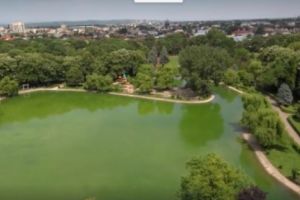 Imagini superbe cu cel mai verde loc din Ploieşti. Niciodată nu l-ai mai văzut aşa