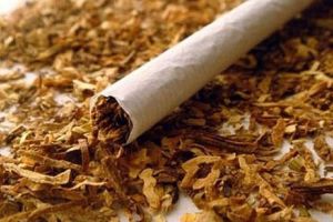 Afaceri ilegale cu tutun. O reţea de contrabandişti a fost destructurată